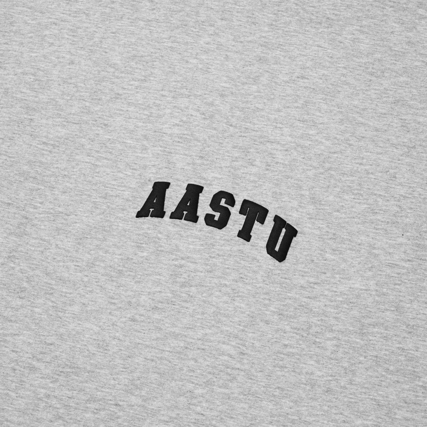 AA CLASSIC LOGO TEE V2 // GREY