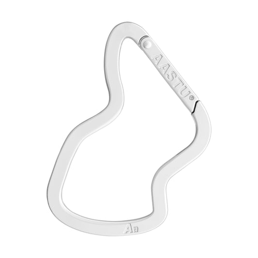 AASTU SNAP HOOK