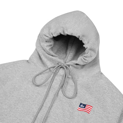 AA FLAG LOGO HOODIE // GREY